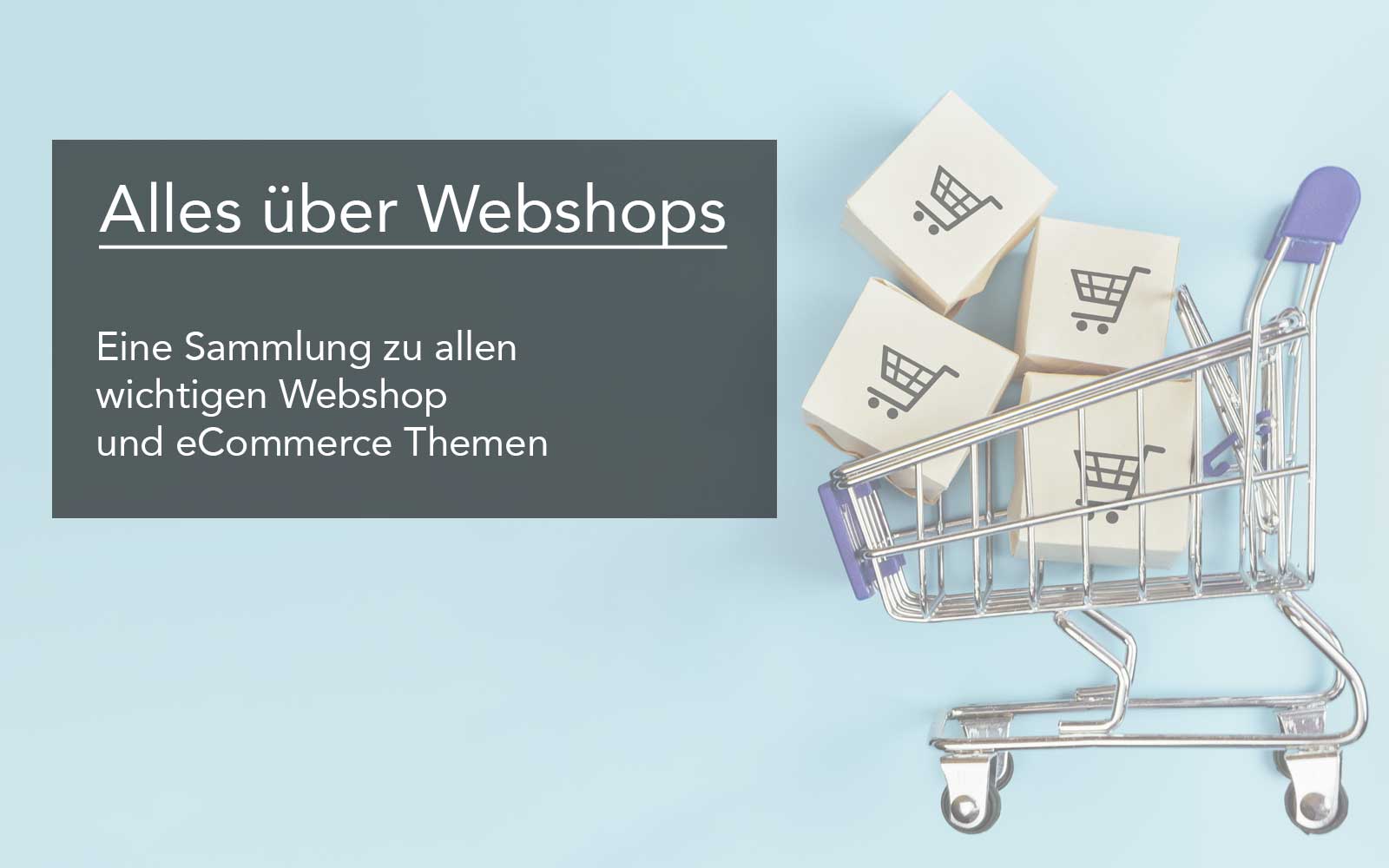 Der Weg zum eigenen Webshop